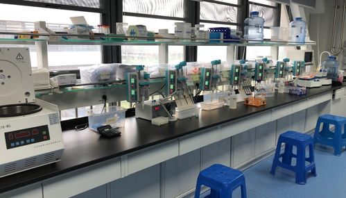 早篩新星天浚元生生物獲國高生物戰投，開啟健康與環保跨界創新